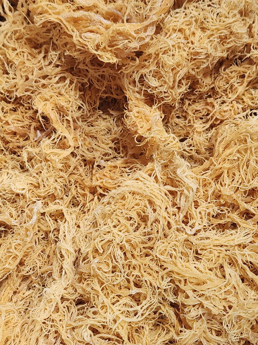 Raw Gold Sea Moss