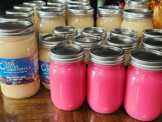 Ocean Wildcrafted Sea Moss and Prickly Pear Fruit Gel