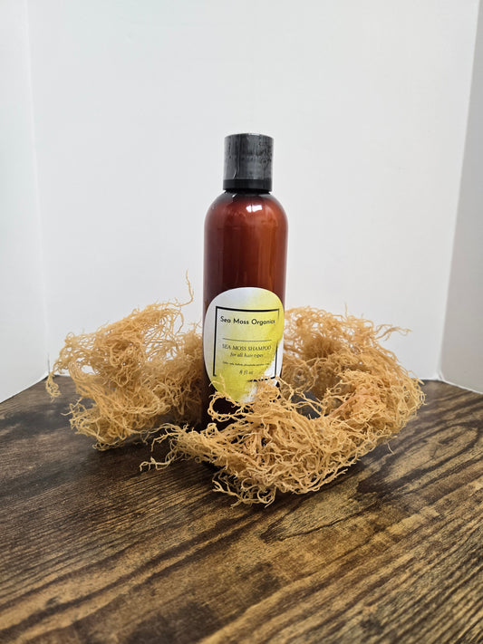 Sea Moss Shampoo for strong and Healthy Hair