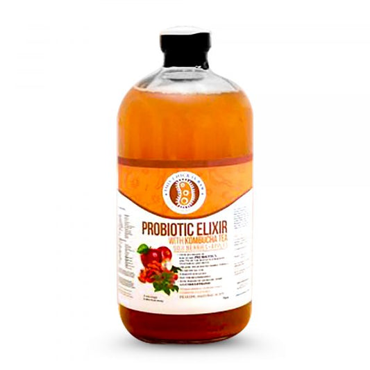 Goji Berry Probiotic Elixir w/ Kombucha Tea