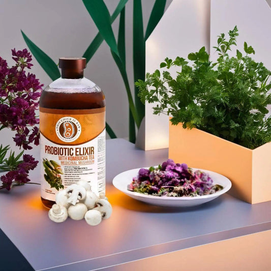 Probiotic Elixir Medicinal Mushroom w/ Kombucha Tea