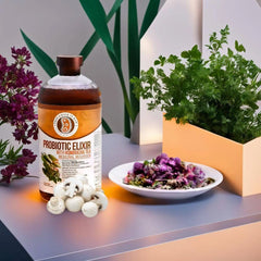 Probiotic Elixir Medicinal Mushroom w/ Kombucha Tea