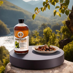 Probiotic Elixir Beets, Ginger, Lemon w/ Kombucha Tea