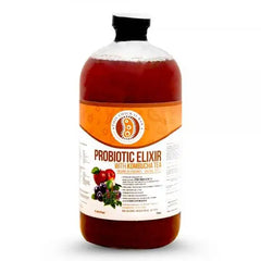 Probiotic Elixir Wild Organic Blueberry w/ Kombucha Tea