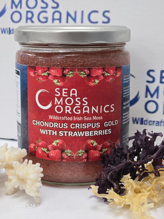 Sea Moss Gel and Strawberries (Chondrus Crispus) – 16 oz