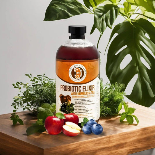 Probiotic Elixir Wild Organic Blueberry w/ Kombucha Tea