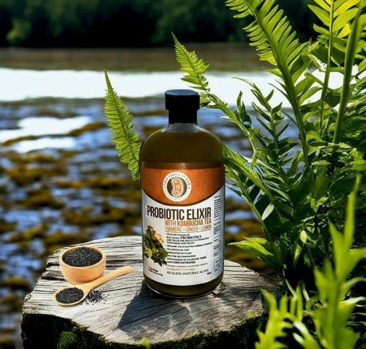 Probiotic Elixir Turmeric, Ginger, Lemon w/ Kombucha Tea