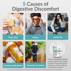 Organixx USDA Organic Lymphatic & Colon Cleanse Supplement, 250 Million CFU Probiotics for Gut Health, Digestive & Lymphatic Support, Gluten Free, Non GMO, 60 Vegetarian Capsules