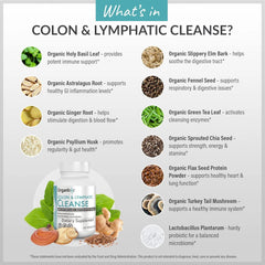 Organixx USDA Organic Lymphatic & Colon Cleanse Supplement, 250 Million CFU Probiotics for Gut Health, Digestive & Lymphatic Support, Gluten Free, Non GMO, 60 Vegetarian Capsules