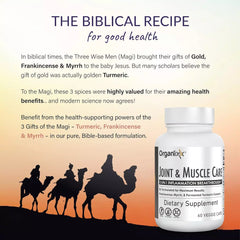 Organixx Joint and Muscle Care Organic Turmeric Supplement 3-in-1 Frankincen