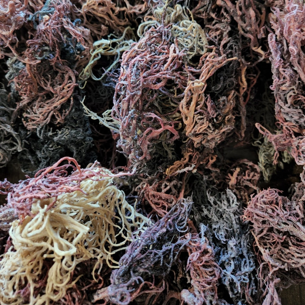 Wildcrafted Sea Moss Gel