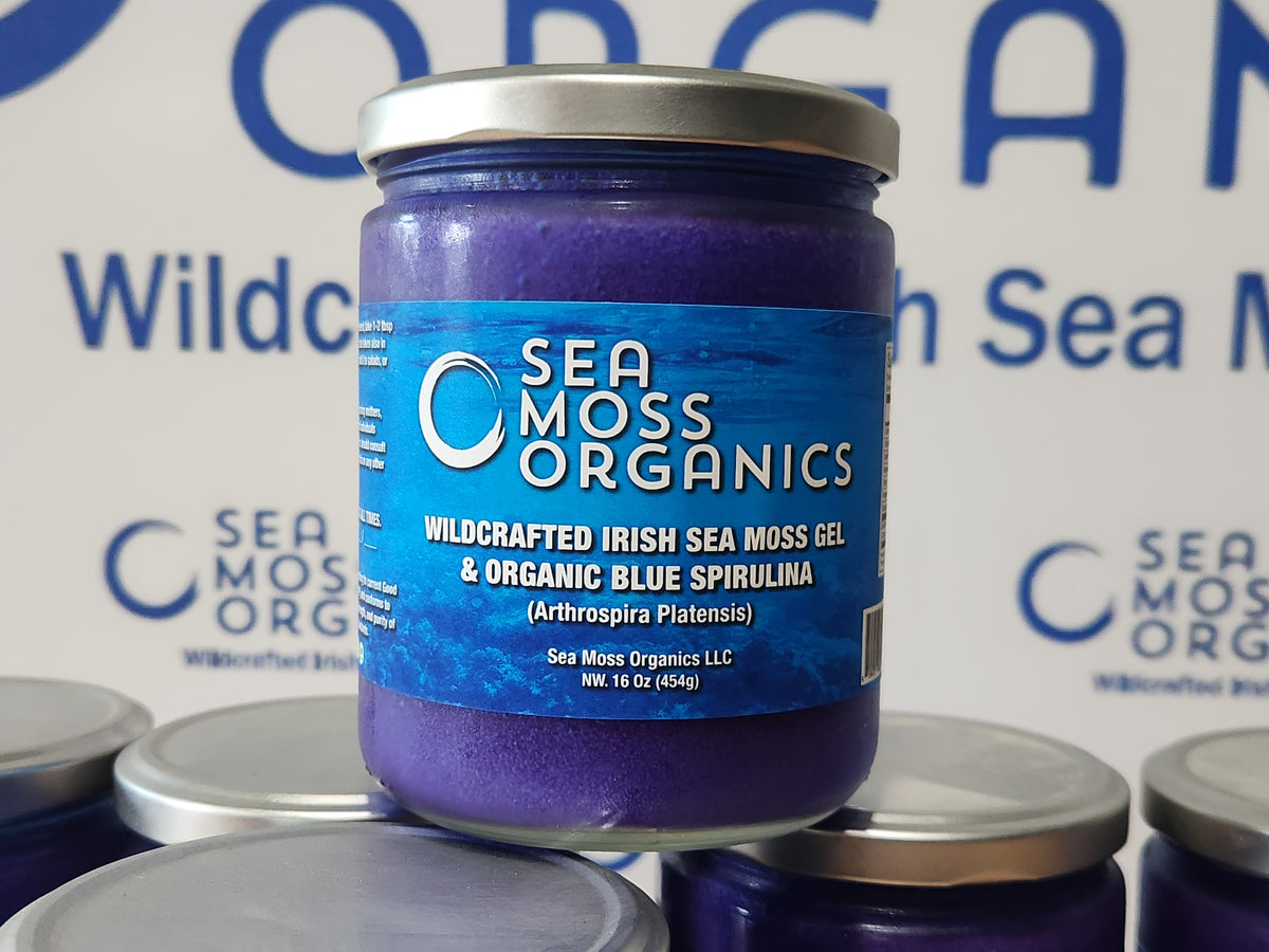 Blue Spirulina and Peruvian Chondrus Crispus Gel 16 oz