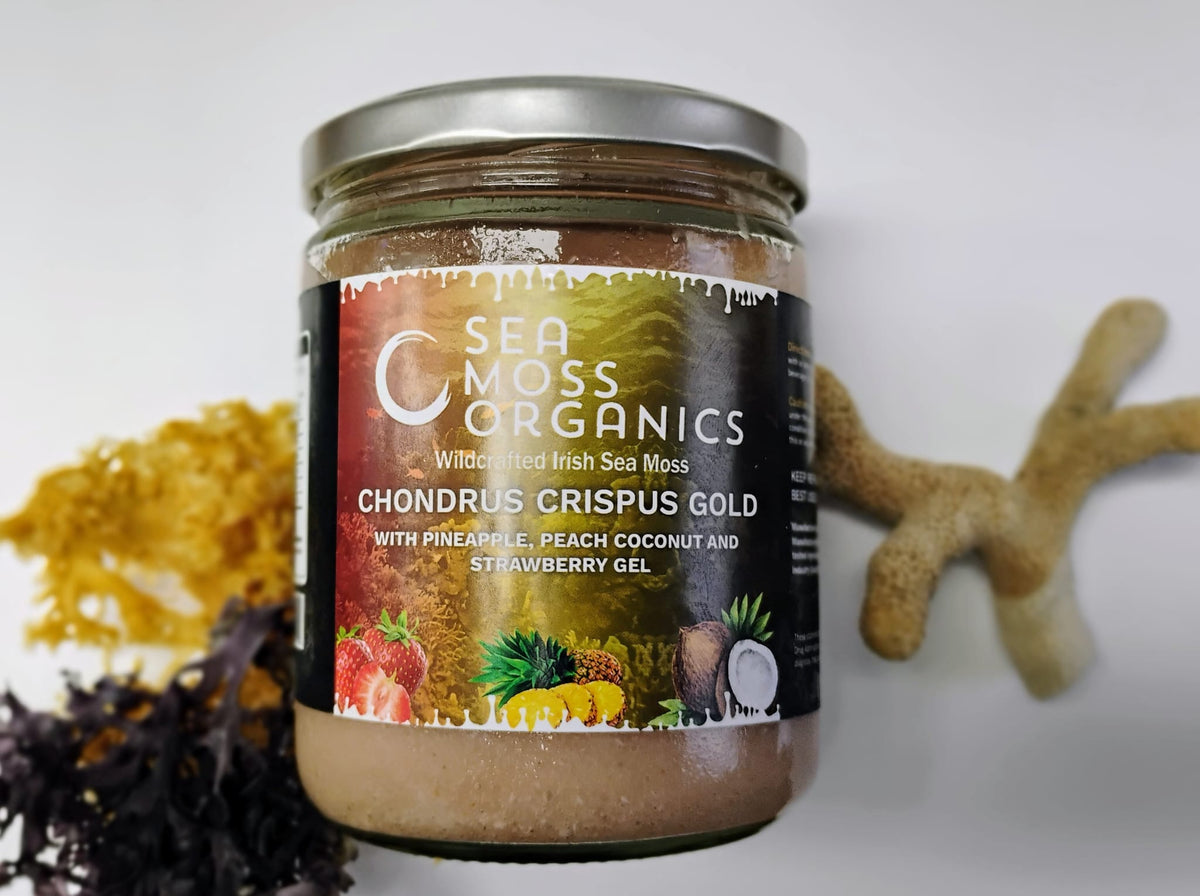 Sea Moss Gel – Pineapple, Strawberry, Coconut &amp; Peach (Chondrus Crispus) – 16 oz