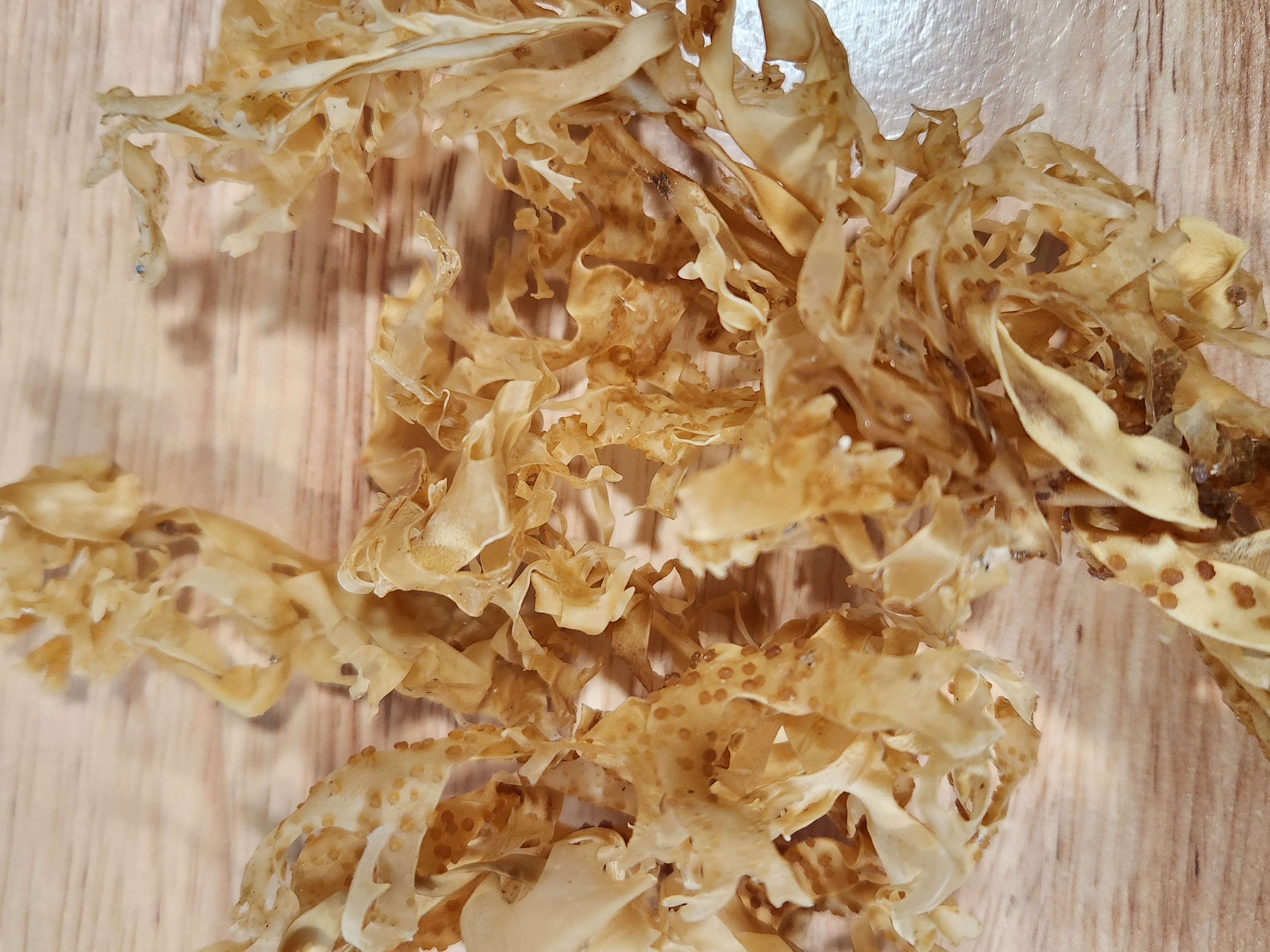 Hair Grow Premium Sea Moss Oil