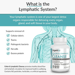 Organixx USDA Organic Lymphatic & Colon Cleanse Supplement, 250 Million CFU Probiotics for Gut Health, Digestive & Lymphatic Support, Gluten Free, Non GMO, 60 Vegetarian Capsules