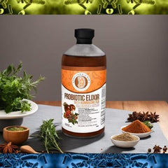 Goji Berry Probiotic Elixir w/ Kombucha Tea